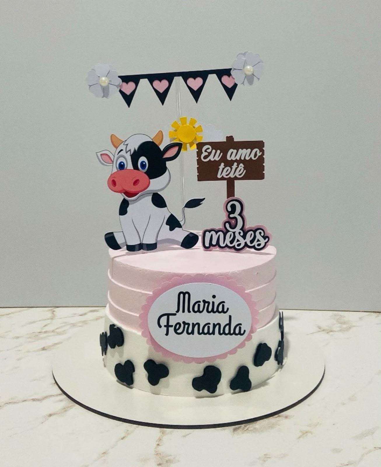 Mêsversário Vaquinha